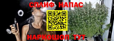 мдпв Конаково