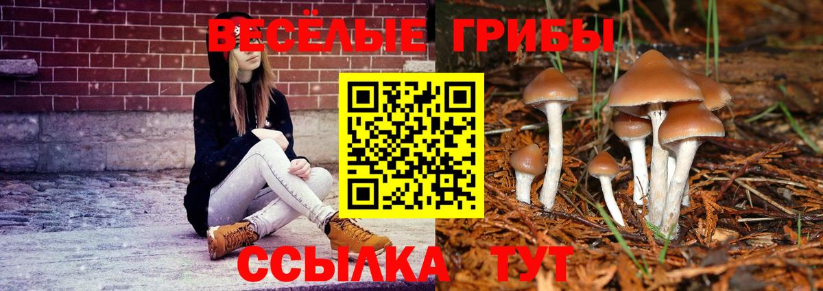 Псилоцибиновые грибы ЛСД  Вход с VPN  Галлюциногенные грибы MAGIC MUSHROOMS  Кимры 