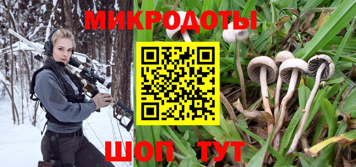 Псилоцибиновые грибы прущие грибы Кимры