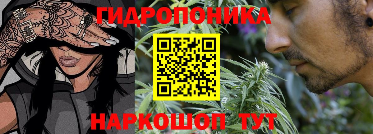 Канабис Кимры
